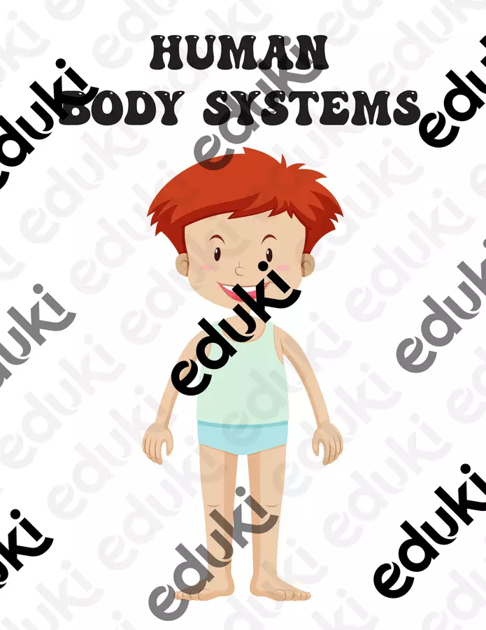 Human Body Systems Coloring & Test Sheets Esercizi - Human Body Systems Coloring & Test Sheets - Nina's Learning Corner - Pagina di copertina