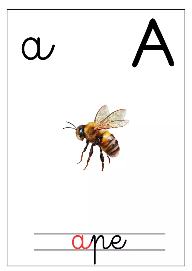 ALFABETARIO CORSIVO MONTESSORI Materiale di supporto/inclusione - ALFABETARIO CORSIVO MONTESSORI - MondoMò - Pagina di copertina