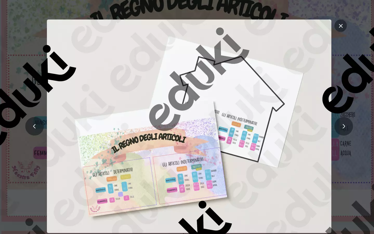 POSTER ARTICOLI DETERMINATIVI, INDETERMINATIVI, PARTITIVI Poster - POSTER ARTICOLI DETERMINATIVI, INDETERMINATIVI, PARTITIVI - Maestra Felly - Pagina di copertina