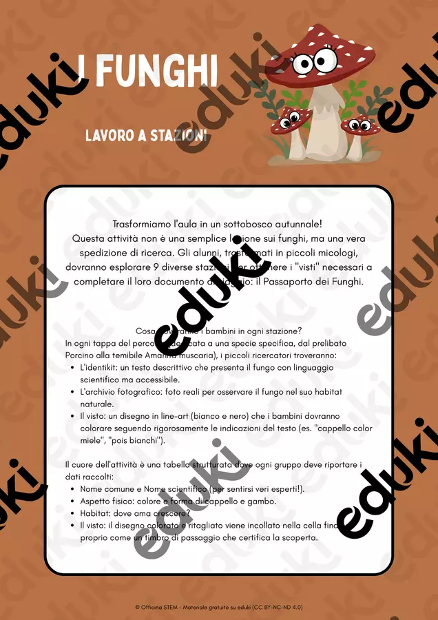 Alla scoperta del mondo dei funghi Schede informative - Alla scoperta del mondo dei funghi - Officina STEM - Pagina di copertina