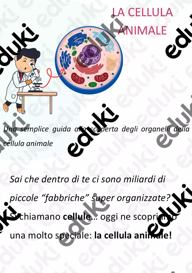 La Cellula Animale: speigazione, disegni + verifiche Esercizi - La Cellula Animale: speigazione, disegni + verifiche - Maestra Tizla Mardi - Pagina di copertina