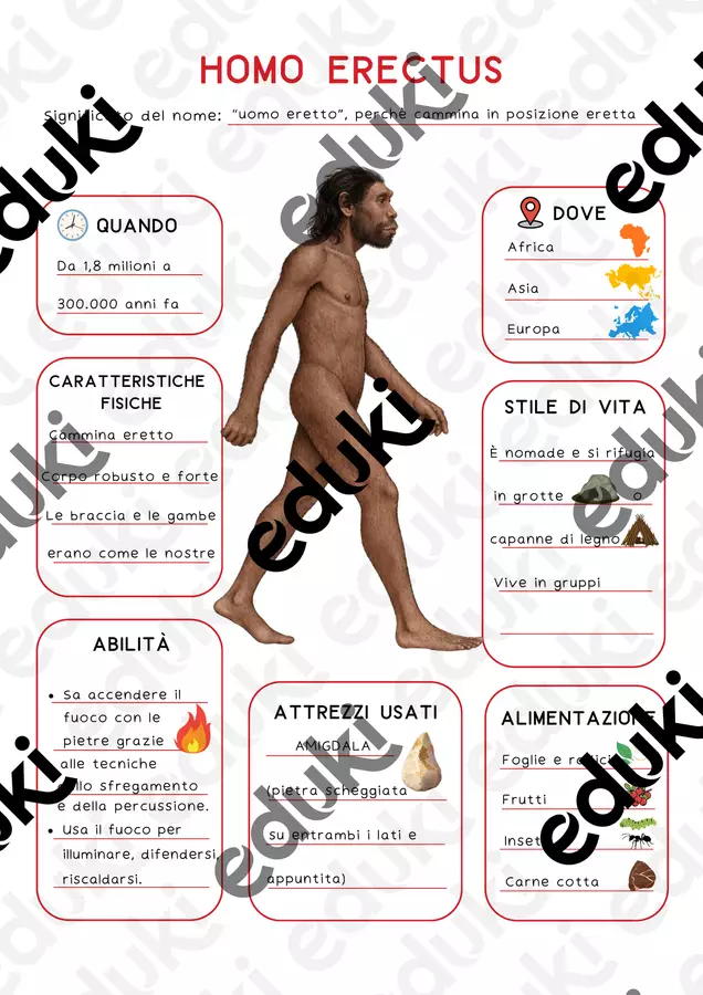 📘 HOMO ERECTUS – Mappa concettuale Didattica a stazioni - 📘 HOMO ERECTUS – Mappa concettuale - 🌈 Didattica Serena📚 - Pagina di copertina