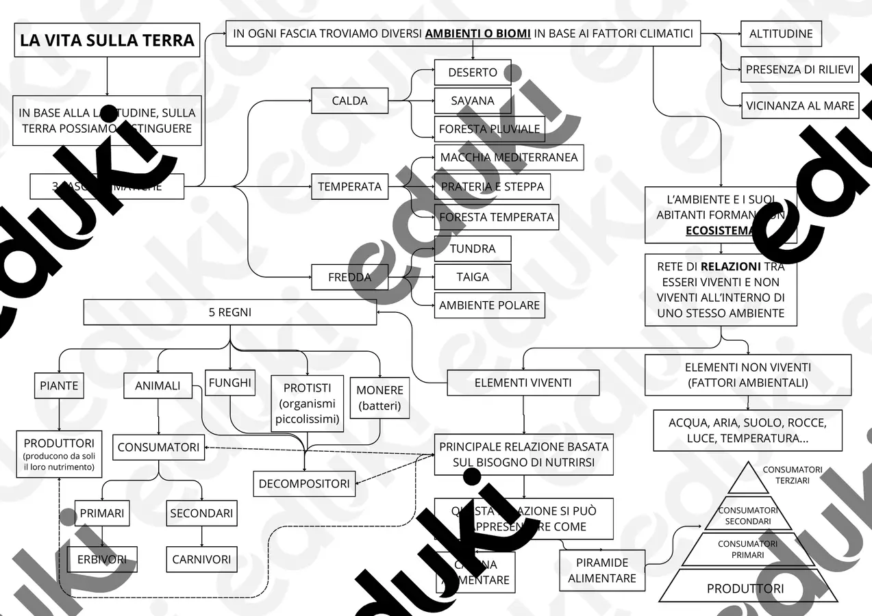 Mappa concettuale "La vita sulla terra" Materiale di supporto/inclusione - Mappa concettuale "La vita sulla terra" - maestra Nico - Pagina di copertina