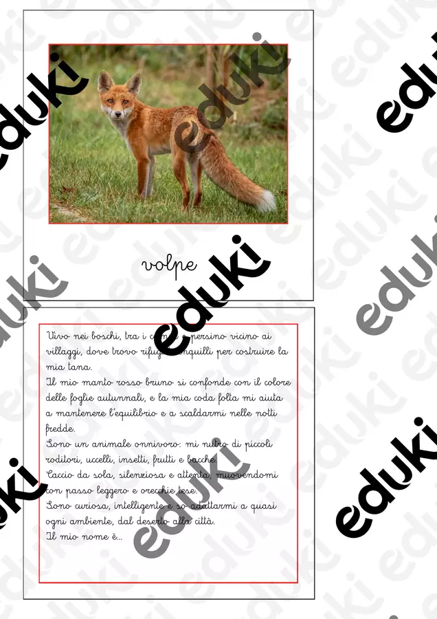 Nomenclatura Montessori - Animali vertebrati 1 Flashcard - Nomenclatura Montessori - Animali vertebrati 1 - Maestra Emilia - Pagina di copertina