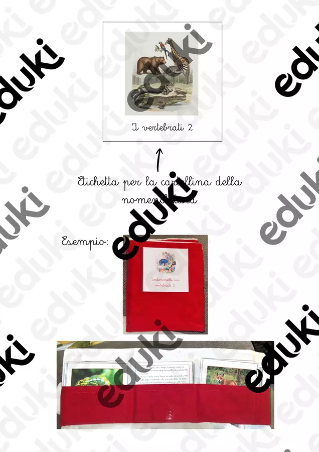 Nomenclatura Montessori - Animali vertebrati 2 Esercizi - Nomenclatura Montessori - Animali vertebrati 2 - Maestra Emilia - Pagina di copertina