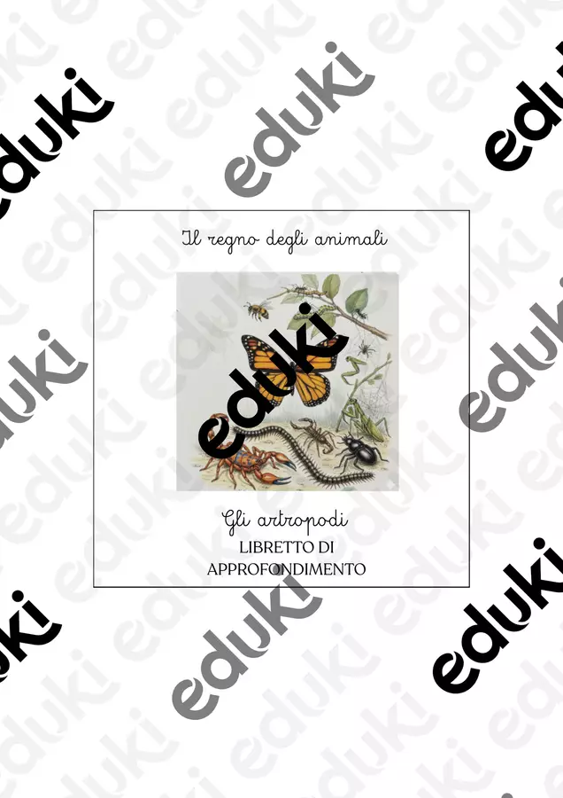 Libretto sul phylum degli artropodi Altro tipo di materiale - Libretto sul phylum degli artropodi - Maestra Emilia - Pagina di copertina