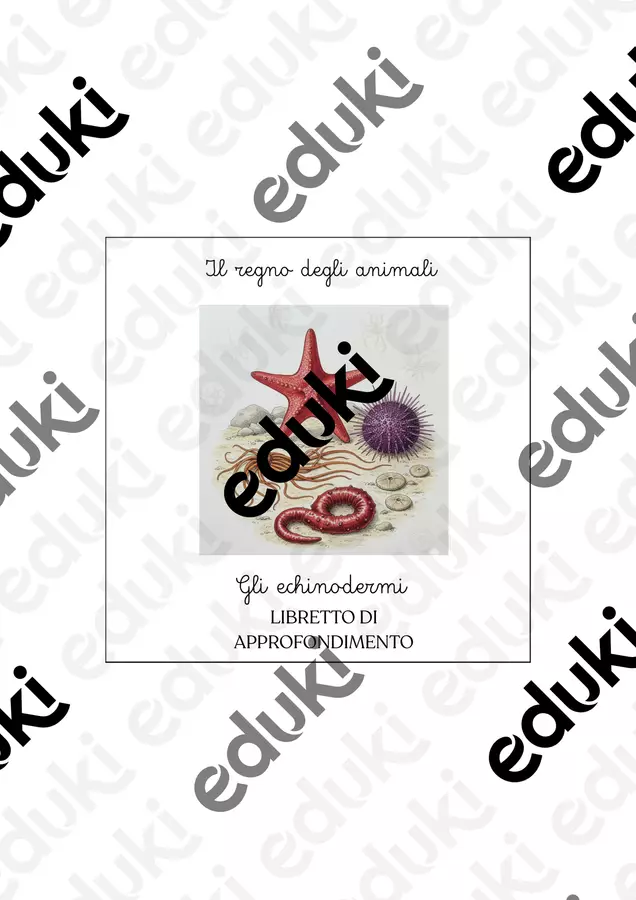 Libretto sul phylum degli echinodermi Altro tipo di materiale - Libretto sul phylum degli echinodermi - Maestra Emilia - Pagina di copertina