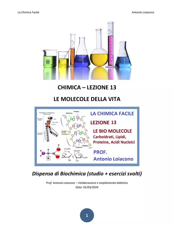 LA CHIMICA FACILE - Lezione 13 - Le molecole della Vita Esercizi - LA CHIMICA FACILE - Lezione 13 - Le molecole della Vita - Prof. Antonio Loiacono - Pagina di copertina