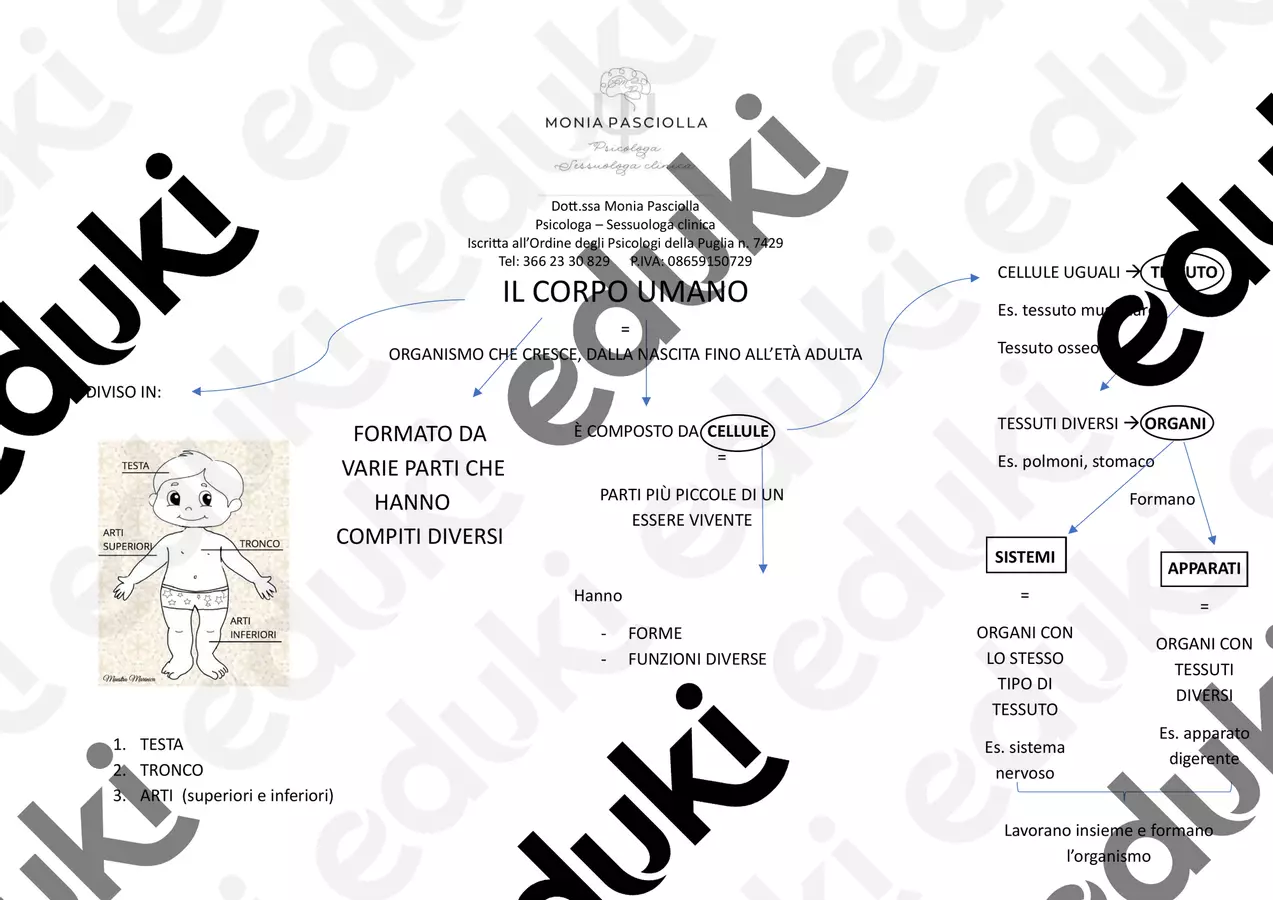 il corpo umano + DOMANDE Materiale di supporto/inclusione - il corpo umano + DOMANDE - Monia Pasciolla - Psicologa - Pagina di copertina