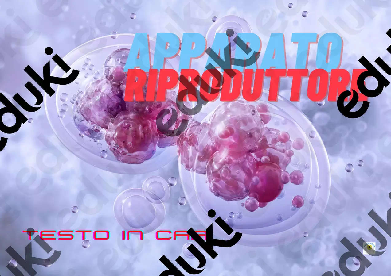 Apparato riproduttore CAA (supporto per autismo, sindrome di down e NAI) Materiale di supporto/inclusione - Apparato riproduttore CAA (supporto per autismo, sindrome di down e NAI) - Alessia Presa - Pagina di copertina
