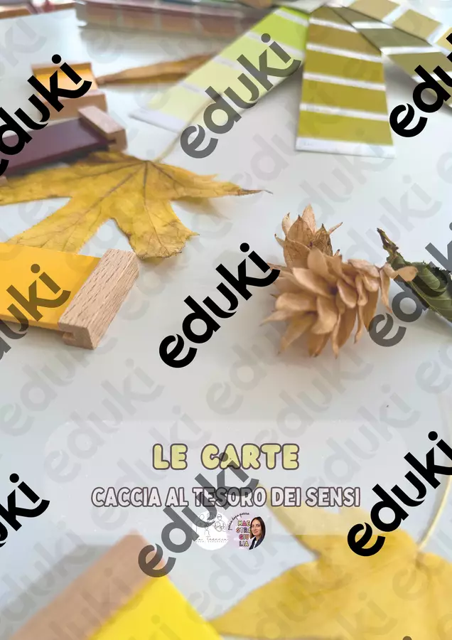 Carte NATURA - scopro texture e consistenze Flashcard - Carte NATURA - scopro texture e consistenze - la_treccia_di_noemi - Pagina di copertina