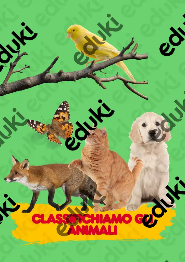 Alla scoperta degli animali: erbivori, carnivori e onnivori Esercizi - Alla scoperta degli animali: erbivori, carnivori e onnivori - Colorando - Pagina di copertina