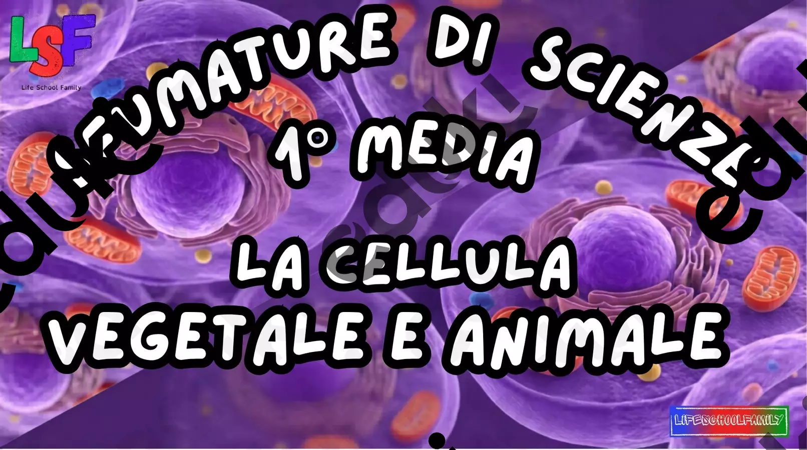 Cellule Vegetali e Animali_KIT MULTIMODALE SCIENZE_1°media Esercizi - Cellule Vegetali e Animali_KIT MULTIMODALE SCIENZE_1°media - Life School Family - Pagina di copertina