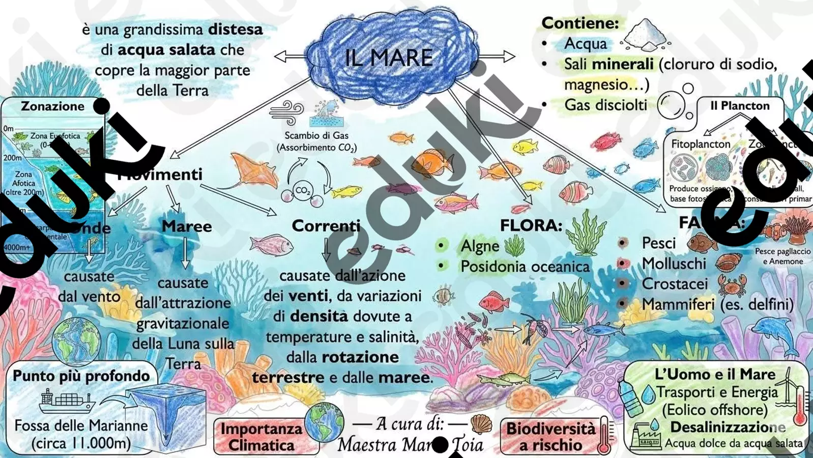 Il mare Schede informative - Il mare - Maria Toia - Pagina di copertina