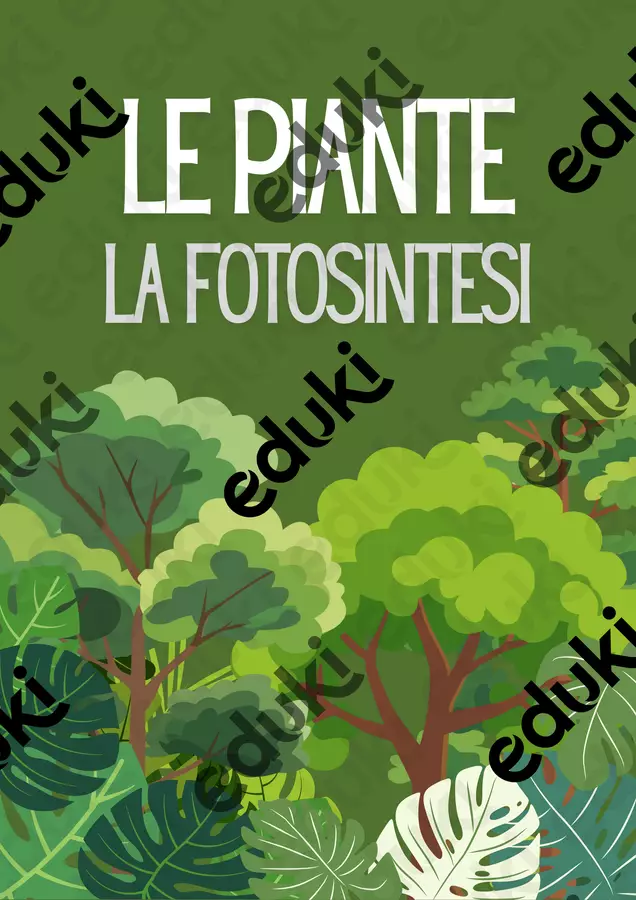 Alla scoperta delle piante,Schede didattiche sulla fotosintesi Schede informative - Alla scoperta delle piante,Schede didattiche sulla fotosintesi - Colorando - Pagina di copertina