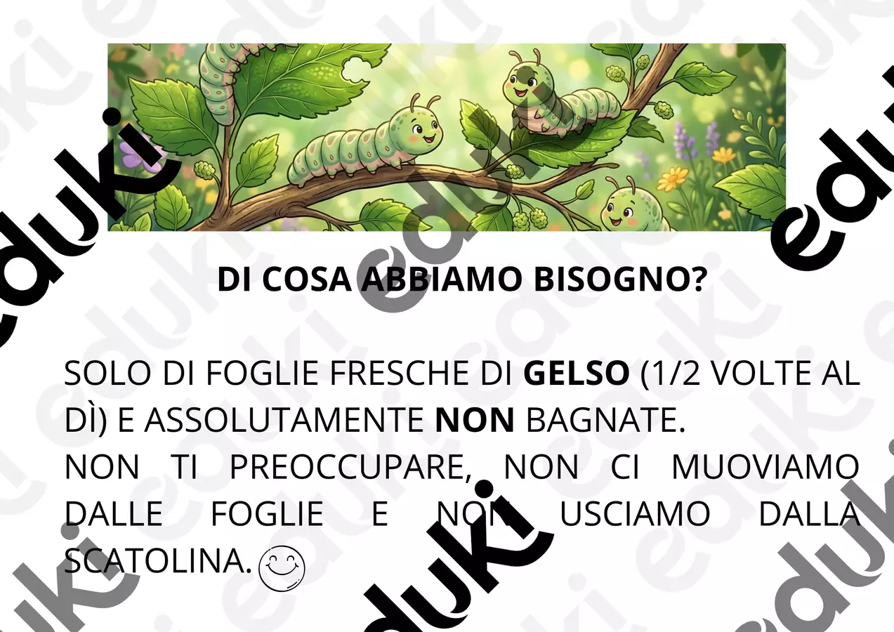 DI COSA ABBIAMO BISOGNO PER VIVERE Schede informative - DI COSA ABBIAMO BISOGNO PER VIVERE - Maestra Deborah - Pagina di copertina