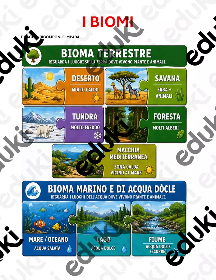 BiomaPuzzle Materiale di supporto/inclusione - BiomaPuzzle - OSSIMO - Pagina di copertina
