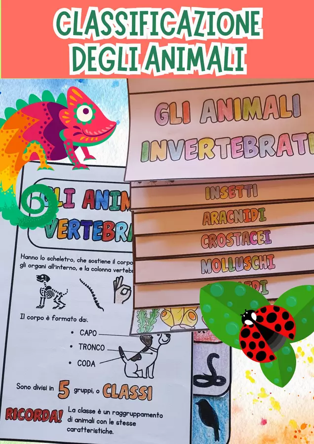 La Magia della Classificazione degli Animali: invertebrati e vertebrati Materiale di supporto/inclusione - La Magia della Classificazione degli Animali: invertebrati e vertebrati - Vera La Maestra - Pagina di copertina