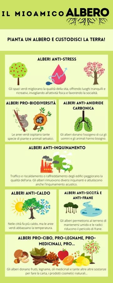 I benefici degli alberi Schede informative - I benefici degli alberi - La maestra di Nuvola - Pagina di copertina