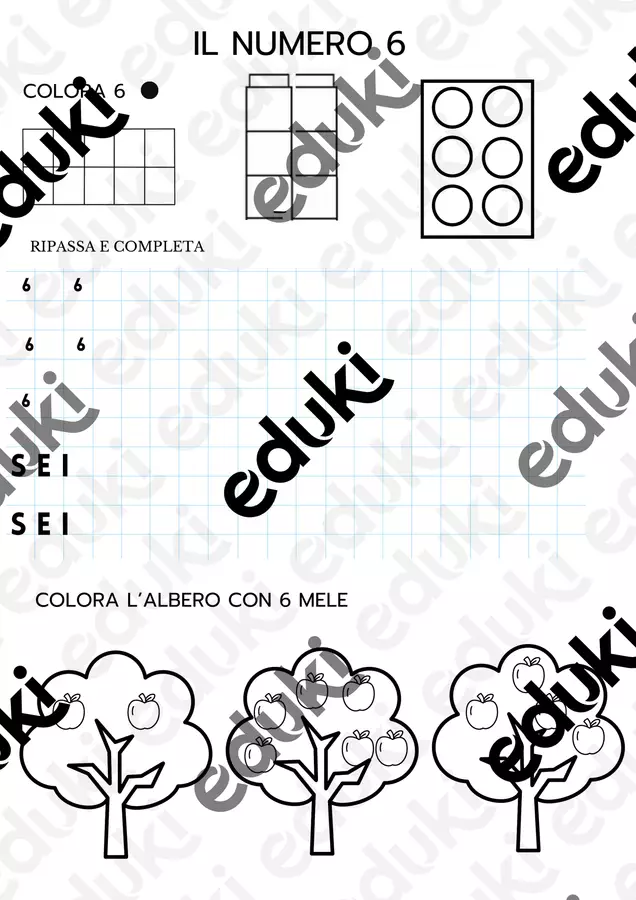 _IL NUMERO 6 Esercizi - _IL NUMERO 6 - Maestra Forty - Pagina di copertina