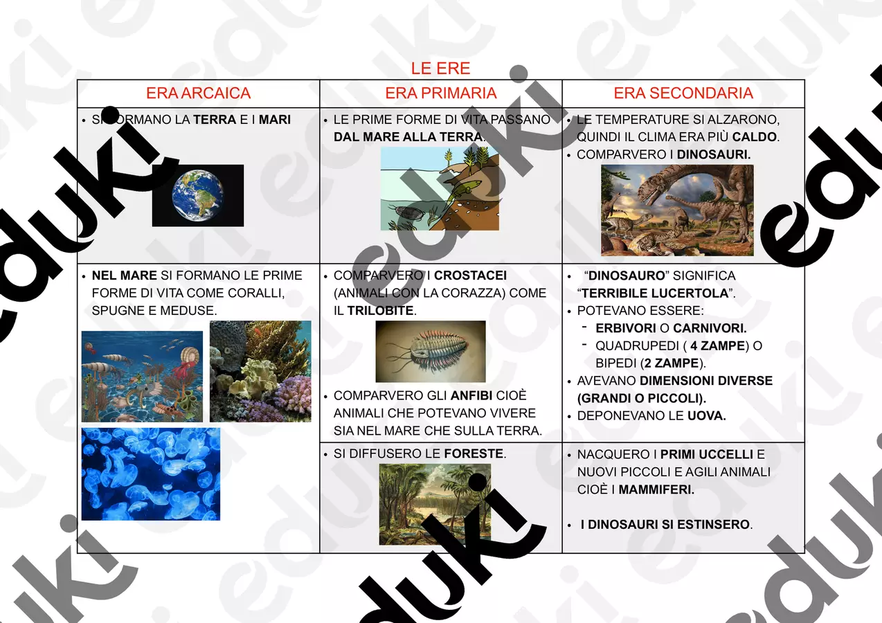 MAPPA PER STUDIARE SULLE ERE 1parte Materiale di supporto/inclusione - MAPPA PER STUDIARE SULLE ERE 1parte - semi_di_didattica - Pagina di copertina