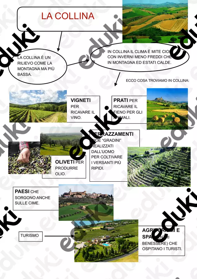 MAPPE MONTAGNA, COLLINA E PIANURA. Materiale di supporto/inclusione - MAPPE MONTAGNA, COLLINA E PIANURA. - semi_di_didattica - Pagina di copertina