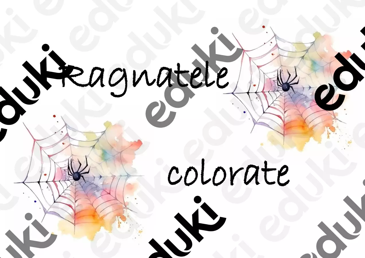 Ragnatele colorate Altro tipo di materiale - Ragnatele colorate - EducatriceDeb - Pagina di copertina