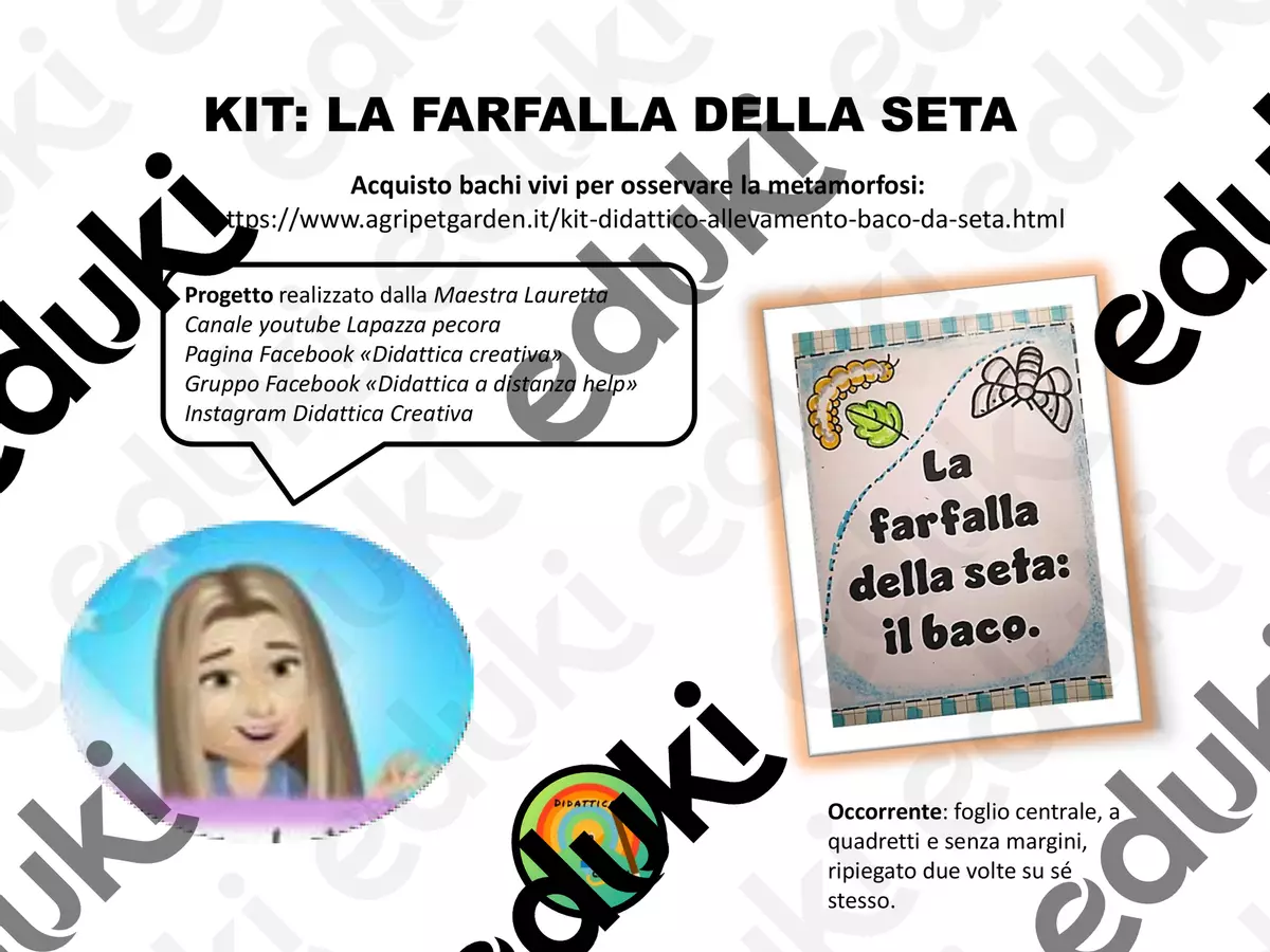 La farfalla della seta: il baco Flashcard - La farfalla della seta: il baco - Didattica Creativa - Pagina di copertina