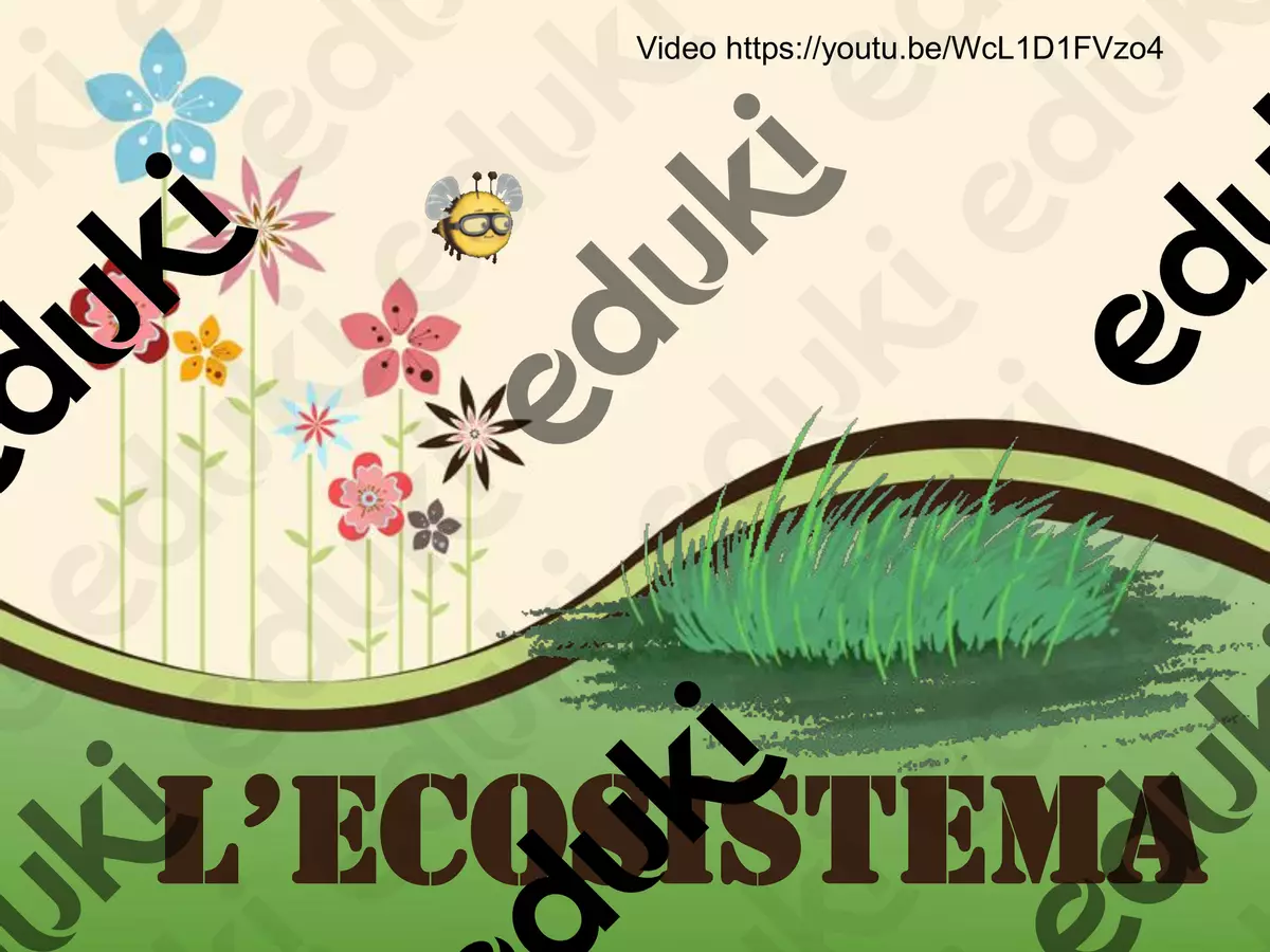 L'ecosistema Schede informative - L'ecosistema - Didattica Creativa - Pagina di copertina