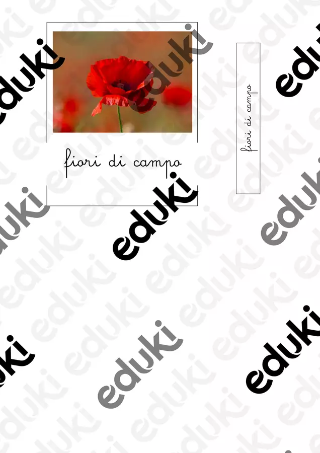 Nomenclatura Montessori - i fiori di campo Flashcard - Nomenclatura Montessori - i fiori di campo - IL FILO APS - Pagina di copertina