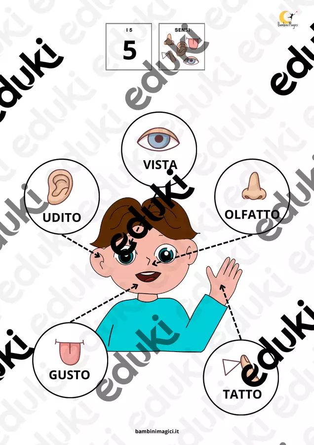 I 5 sensi in CAA e TESTI per DSA Materiale di supporto/inclusione - I 5 sensi in CAA e TESTI per DSA - Bambini Magici - Pagina di copertina