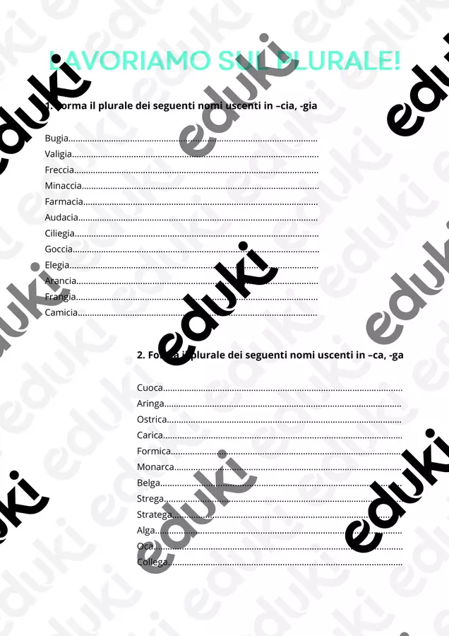 Lavoriamo sul plurale Esercizi - Lavoriamo sul plurale - Prof. Irene - Pagina di copertina
