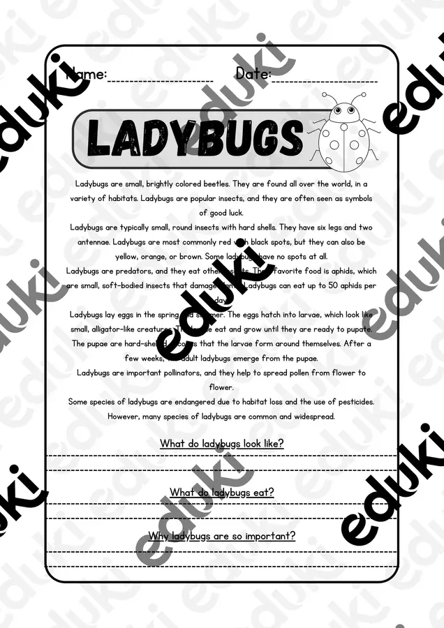 Lettura e comprensione in inglese - Ladybugs Altro tipo di materiale - Lettura e comprensione in inglese - Ladybugs - MilleLibriPerBambini - Pagina di copertina