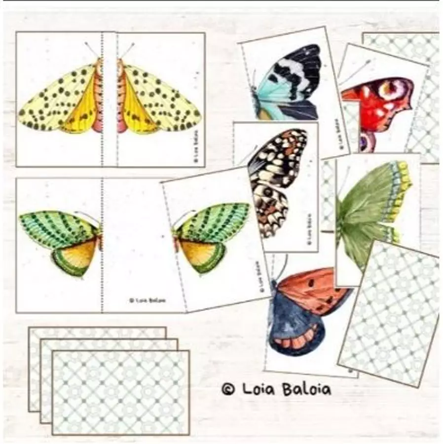 GIOCO DI SIMMETRIE - FALENE E FARFALLE. Giochi - GIOCO DI SIMMETRIE - FALENE E FARFALLE. - Loia Baloia - Pagina di copertina