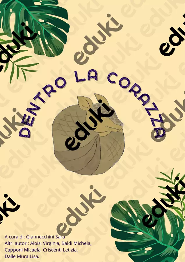 Dentro la corazza Opere didattiche / Libri di testo - Dentro la corazza - Maestra.nubivaga - Pagina di copertina