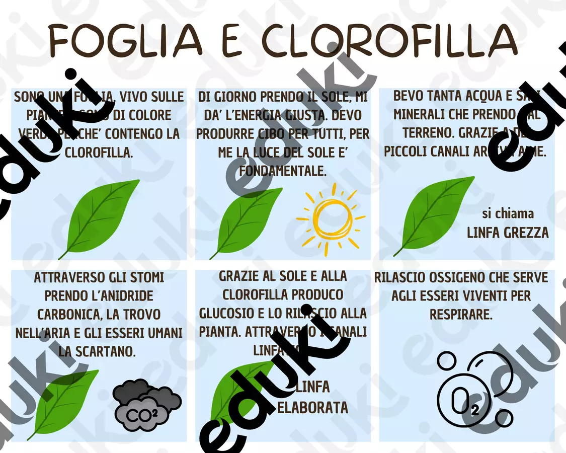 Fumetto: conosciamo FOGLIA e scopriamo chi è e che cosa fa Poster - Fumetto: conosciamo FOGLIA e scopriamo chi è e che cosa fa - maestra_carly_ - Pagina di copertina