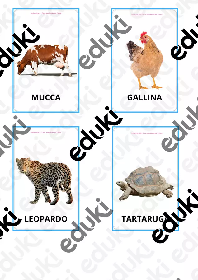CARD DEGLI ANIMALI Flashcard - CARD DEGLI ANIMALI - Pedagogista Federica Tonni - Pagina di copertina