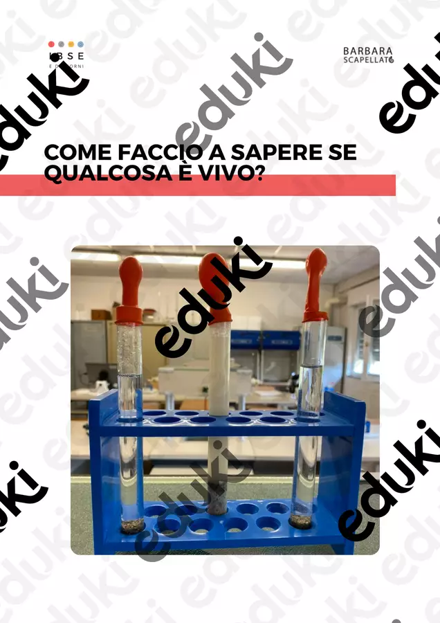 Come faccio a sapere se qualcosa è vivo? Esperimenti - Come faccio a sapere se qualcosa è vivo? - Barbara Scapellato - IBSE e dintorni - Pagina di copertina