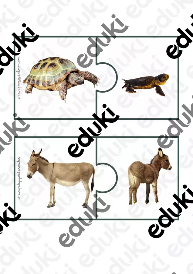 accoppia gli animali mamma e cucciolo Flashcard - accoppia gli animali mamma e cucciolo - Ilaria Rudari | Neuropedagogista - Pagina di copertina