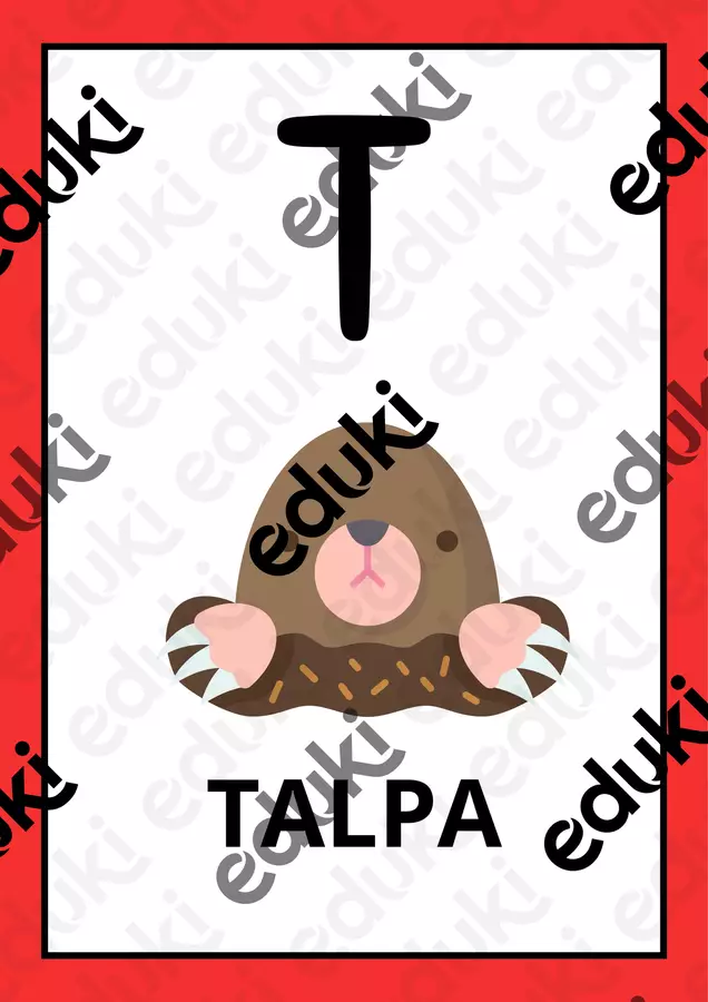 Flashcard consonanti Flashcard - Flashcard consonanti - maestra.ilaria - Pagina di copertina
