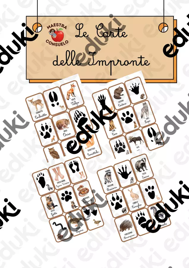 Le carte delle impronte Materiale di supporto/inclusione - Le carte delle impronte - Maestra Consuelo - Pagina di copertina