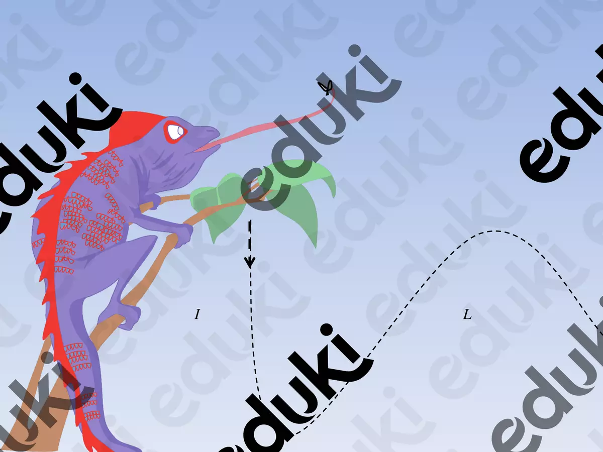 Pronunciamo l'articolo "IL" con l'aiuto dell'iguana! Esercizi - Pronunciamo l'articolo "IL" con l'aiuto dell'iguana! - Ilaria Cervino Logopedista - Pagina di copertina