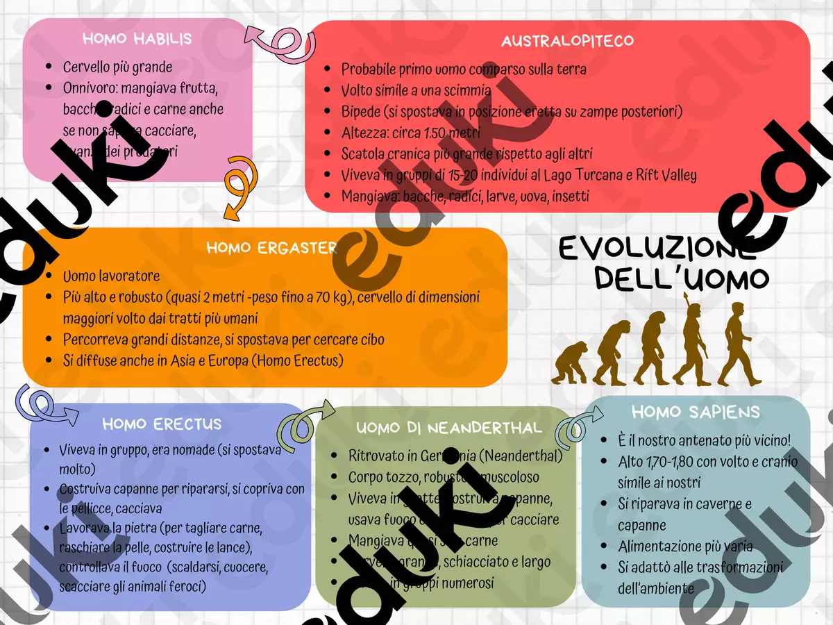 STORIA Evoluzione dell'uomo_Mappa concettuale Schede informative - STORIA Evoluzione dell'uomo_Mappa concettuale - Maestra Laubel - Pagina di copertina