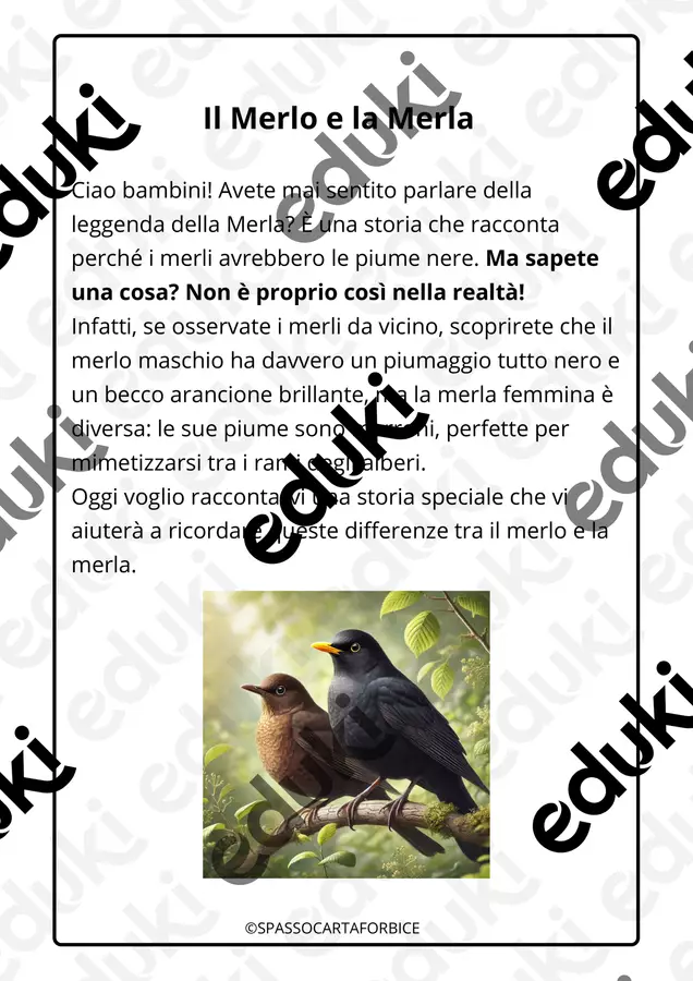 IL MERLO E LA MERLA STORIA CON DOMANDE DI COMPRENSIONE Esercizi - IL MERLO E LA MERLA STORIA CON DOMANDE DI COMPRENSIONE - Spassocartaforbice - Pagina di copertina