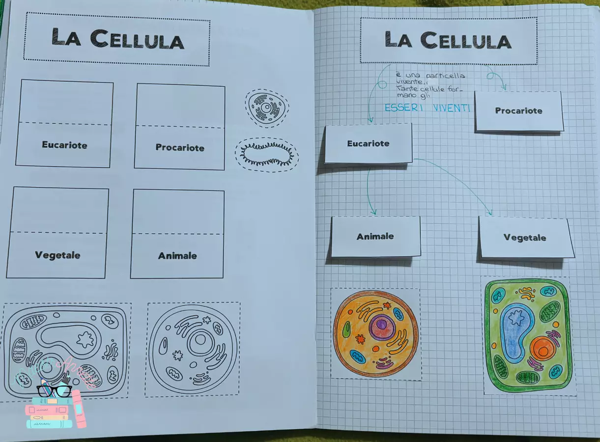 Dalla cellula ai tessuti Materiale di supporto/inclusione - Dalla cellula ai tessuti - MaestrAnnette - Pagina di copertina