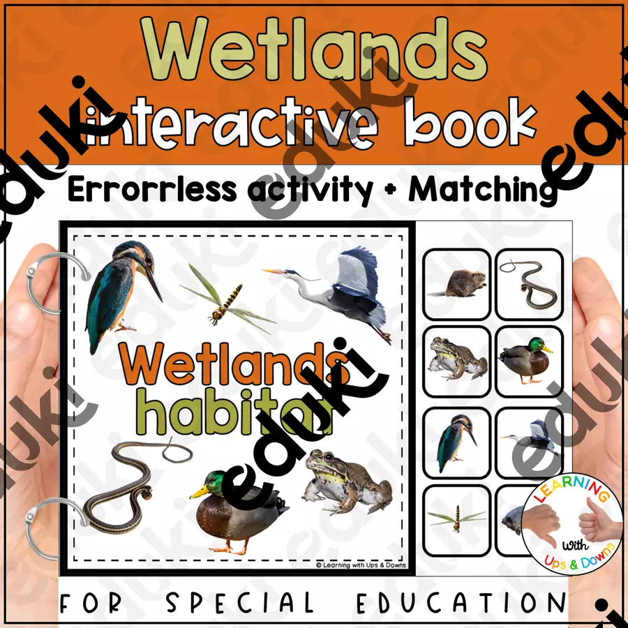 Wetland animals matching for SPED | Wetlands habitat errorless activity Flashcard - Wetland animals matching for SPED | Wetlands habitat errorless activity - Learning with Ups and Downs - Pagina di copertina
