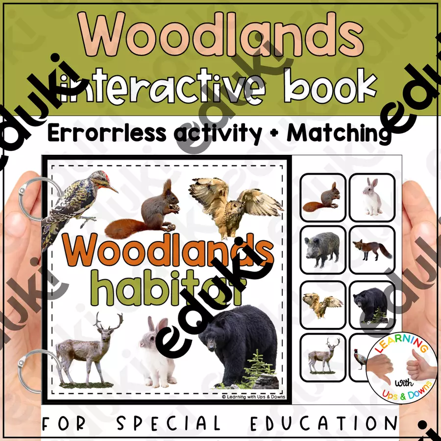 Forest animals matching for SPED | Woodlands habitat errorless activity Flashcard - Forest animals matching for SPED | Woodlands habitat errorless activity - Learning with Ups and Downs - Pagina di copertina