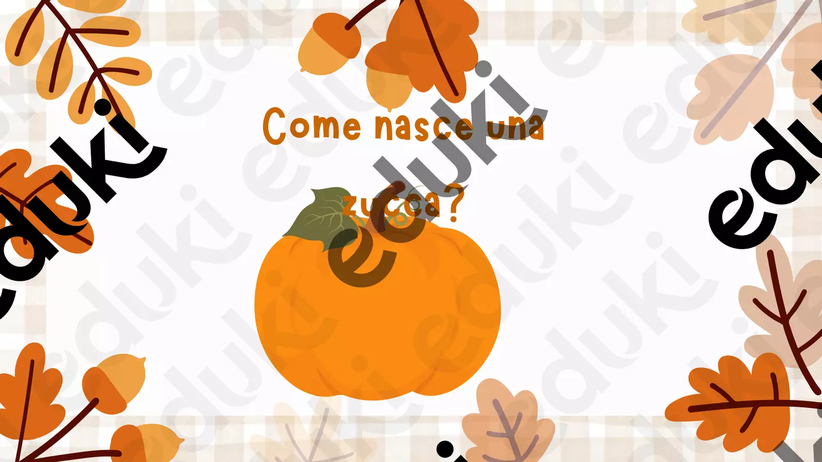 Come nasce una zucca Materiale interattivo - Come nasce una zucca - MaestraCarolinaa - Pagina di copertina