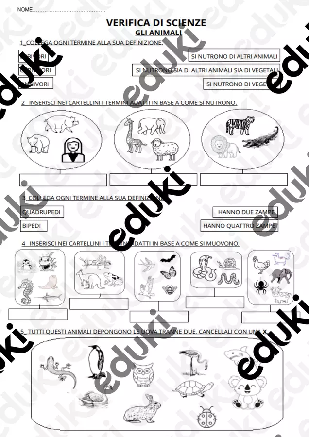 Scienze classe seconda e terza primaria Esercizi - Scienze classe seconda e terza primaria - lamaestraroby79 - Pagina di copertina