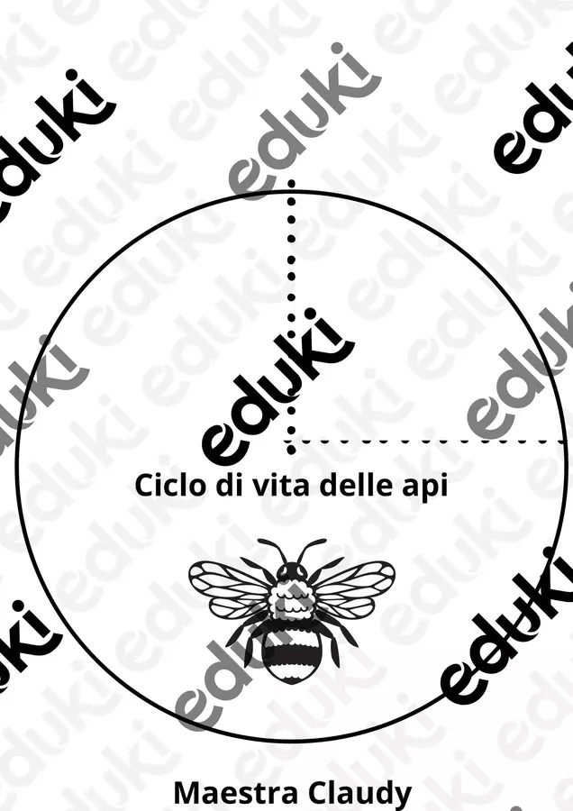 Ciclo di vita delle api Esercizi - Ciclo di vita delle api - Maestra Claudy - Pagina di copertina